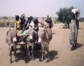 Dorfbewohner beim Stein- und Sandtransport für die Schule